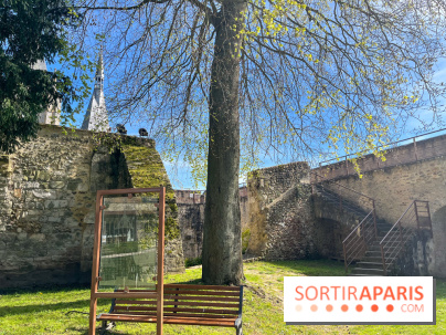 Château de Dourdan - nos photos - image00035