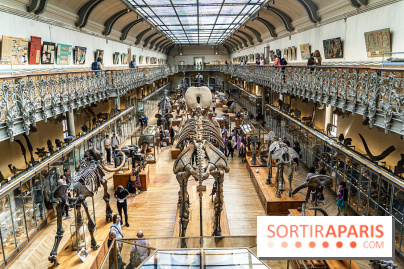 La Galerie de Paléontologie et d'Anatomie comparée du Muséum au Jardin des Plantes
