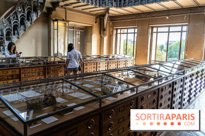La Galerie de Paléontologie et d'Anatomie comparée du Muséum au Jardin des Plantes