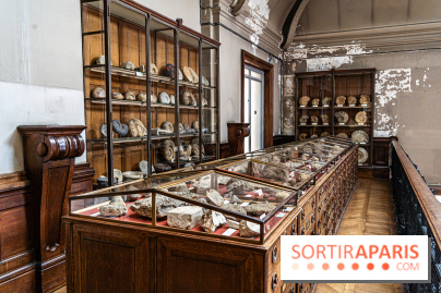 La Galerie de Paléontologie et d'Anatomie comparée du Muséum au Jardin des Plantes