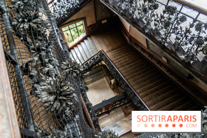 La Galerie de Paléontologie et d'Anatomie comparée du Muséum au Jardin des Plantes -  A7C7468