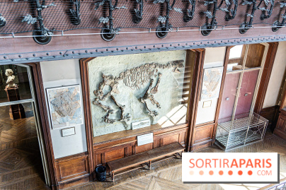 La Galerie de Paléontologie et d'Anatomie comparée du Muséum au Jardin des Plantes
