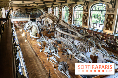 La Galerie de Paléontologie et d'Anatomie comparée du Muséum au Jardin des Plantes