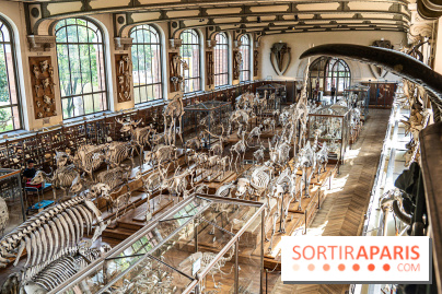 La Galerie de Paléontologie et d'Anatomie comparée du Muséum au Jardin des Plantes