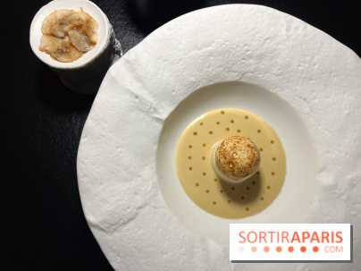 Quelque Part - Ile flottante de Saint-Jacques