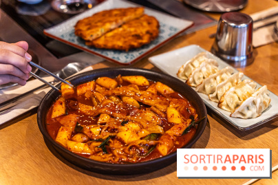Hwaro Grill, le barbecue Coréen Paris 15e -  tteokbokki