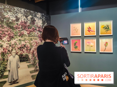 Natures vivantes : l'exposition photo qui met à l'honneur les jardins du musée Albert Kahn - photos
