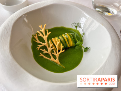 Mavrommatis : Menu Initiation - Mavrommatis