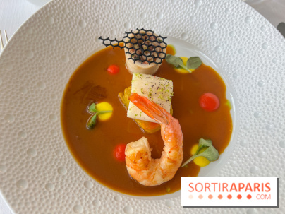 Mavrommatis : Menu Initiation - Psarosoupa