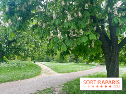 Le parc de Bois-Préau - nos photos