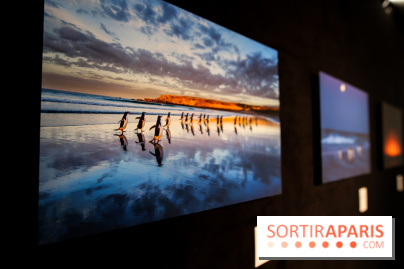 Reflets de la nature, nos photos de l'exposition