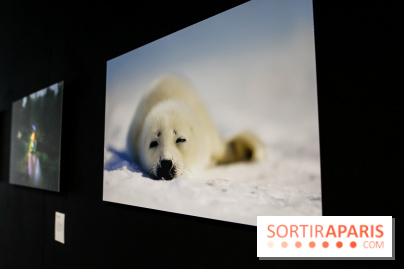 Reflets de la nature, nos photos de l'exposition