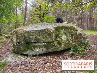 Dolmen de la Pierre Ardoue