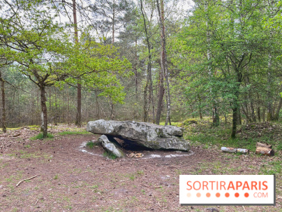 Dolmen de la Pierre Ardoue