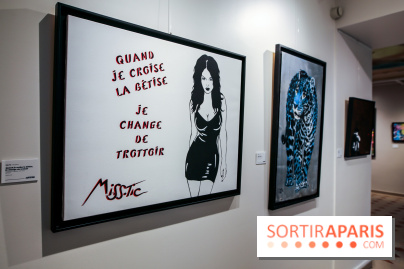 Le Décryptage de l’art de rue, nos photos de l'expo - IMG 4920