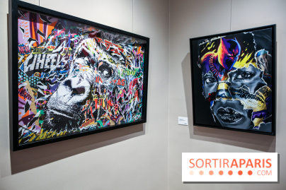 Le Décryptage de l’art de rue, nos photos de l'expo - IMG 4948