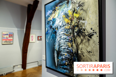 Le Décryptage de l’art de rue, nos photos de l'expo - IMG 4971