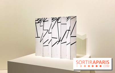 Formes et couleurs, l'exposition hommage à Ellsworth Kelly à la Fondation Louis Vuitton - image00075