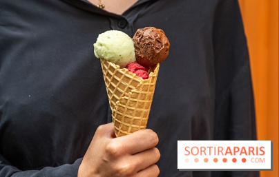 Nèulo Pâtisserie,le Paradis du flan par Pierre Jean Quinonero - glace