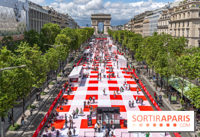 Grand pique nique des Champs-Élysées - photos  -  A7C4796