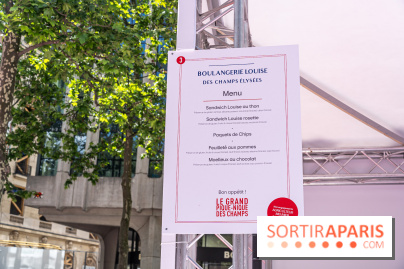 Grand pique nique des Champs-Élysées - photos