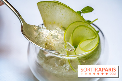 La Scène Thélème, le restaurant étoilé par Rudy Langlais -  A7C5115