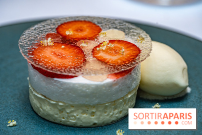 La Scène Thélème, le restaurant étoilé par Rudy Langlais -  A7C5117