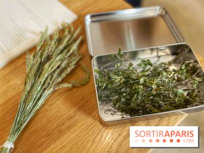 Ateliers herbes et plantes sauvages