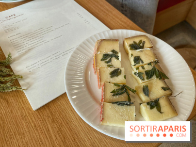 Ateliers herbes et plantes sauvages - IMG 1748 2