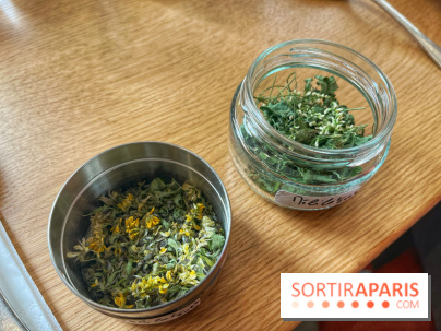 Ateliers herbes et plantes sauvages