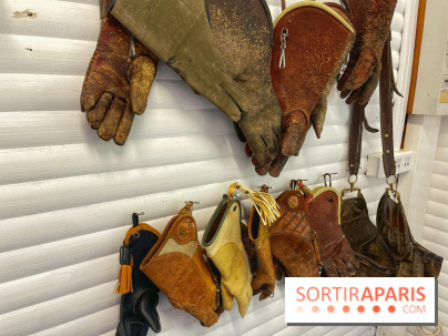 Fauconnier d'un jour - IMG 1414