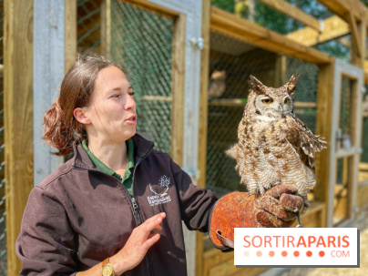 Fauconnier d'un jour - IMG 1415