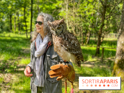 Fauconnier d'un jour - IMG 1420