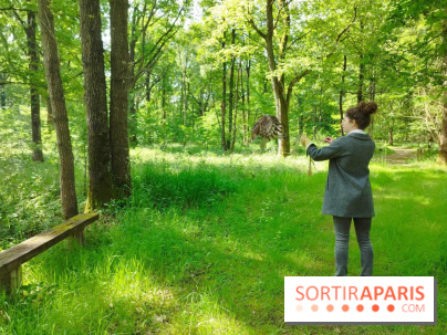 Fauconnier d'un jour - IMG 1429