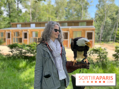 Fauconnier d'un jour - IMG 1445