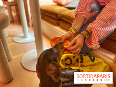 Casa del Doggo - IMG 1619