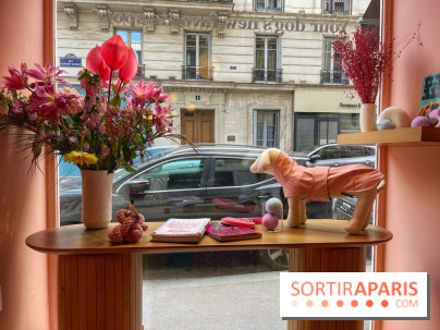 Casa del Doggo - IMG 1621