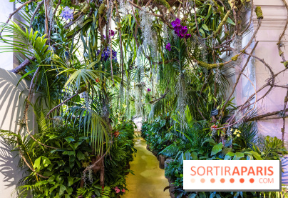 Exposition Paris à l'Hôtel de Ville - les Photos