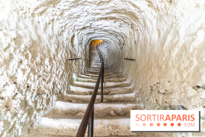 Le Château de la Roche Guyon, le château troglodyte dans le Val-d'Oise - 95 -  escalier dans la roche
