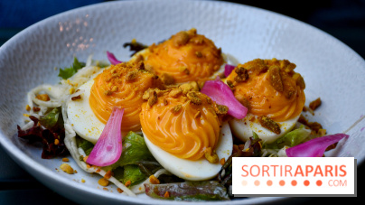 Dame Nation, le bistrot joyeux et abordable à deux pas de Nation - DSC 1557