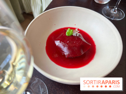 Matka - Bortsch glacé