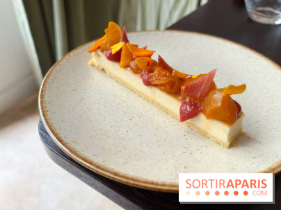 Matka - Cheesecake rhubarbe