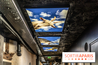 Musée du Fromage à Paris, les photos -  A7C6725