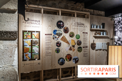 Musée du Fromage à Paris, les photos -  A7C6698