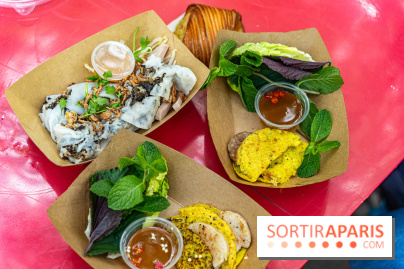 Ici Vietnam Festival à Paris - photos - A7C6968