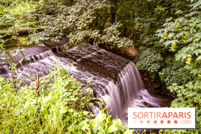 Le restaurant du Petit Moulin des Vaux de Cernay - Oléum Papa, le restaurant culturel -  A7C7083