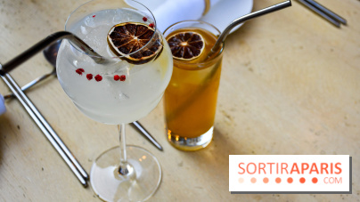 Madame Fan, le restaurant gastronomique chinois à Paris 