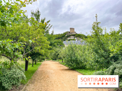 Potager-Fruitier de la Roche Guyon - nos photos - image00020