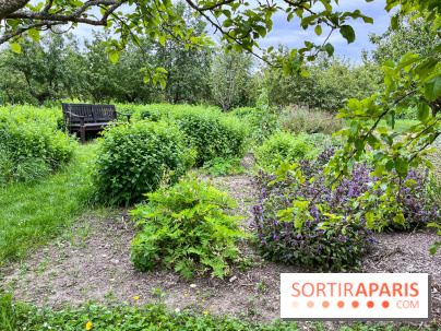 Potager-Fruitier de la Roche Guyon - nos photos - image00017