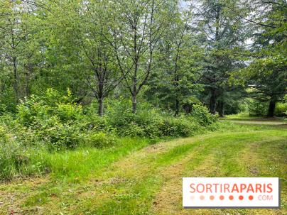 Arboretum de la Roche-Guyon - nos photos - image00012